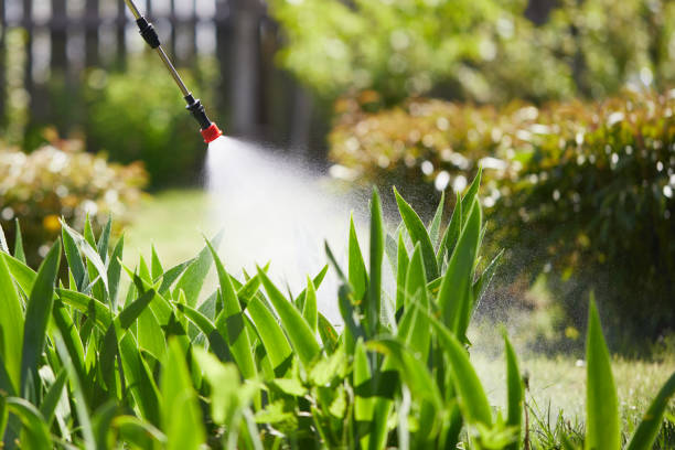 24/7 Emergency Mosquito Control experts in Flemington, PA