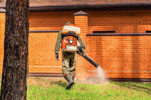 Trusted Rodent Control service in Flemington, PA - Nex Pest Control